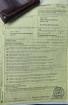 Maurische Landschildkröte Bock 15 Jahre alt